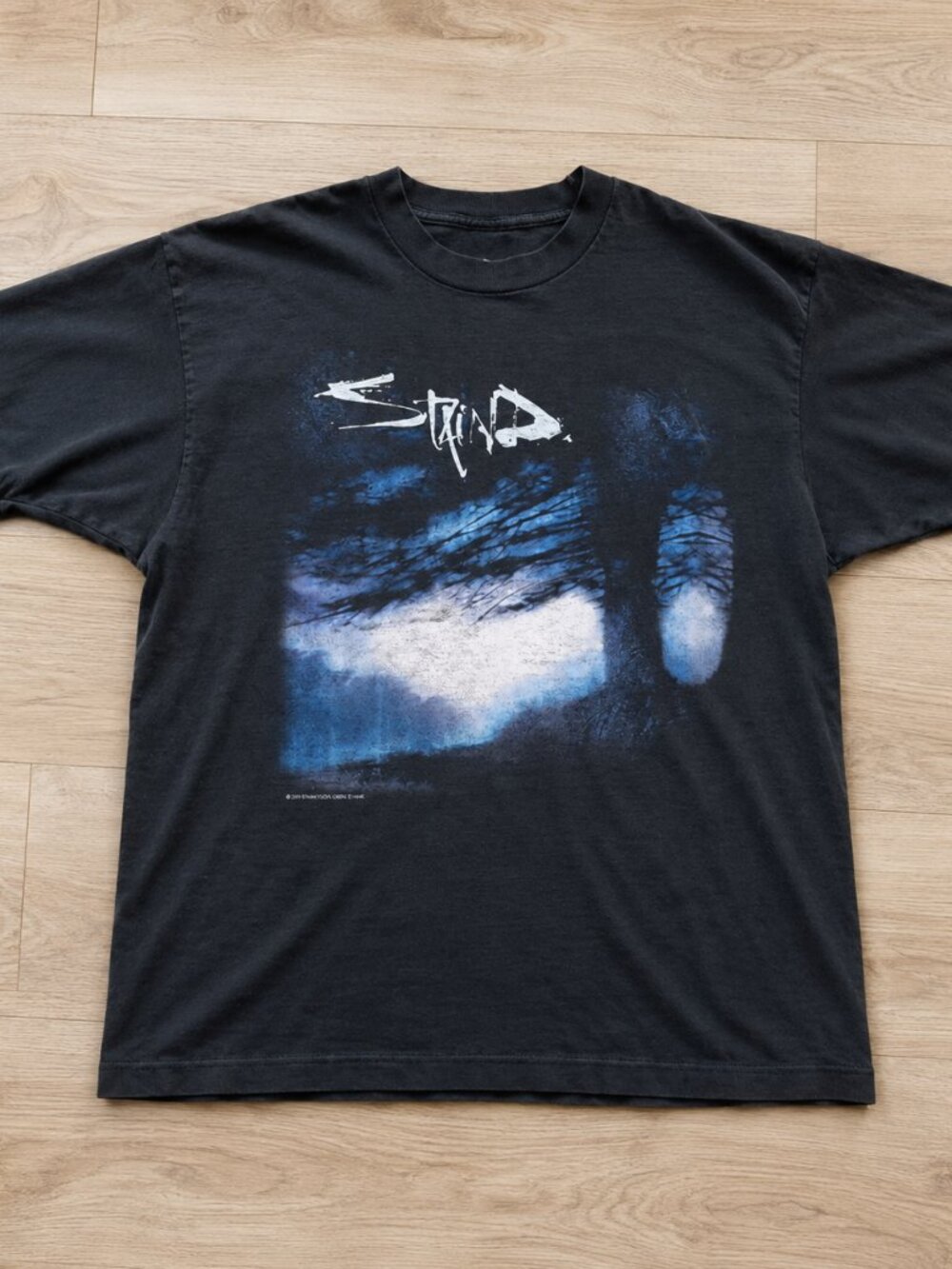 Staind Vintage 90s Blue Forest Alternative Rock Band Graphic T-Shirt